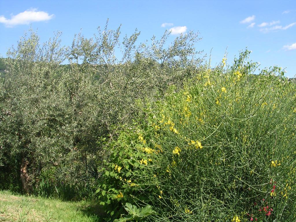 Guardalaluna Villa Pian di Scò Екстериор снимка